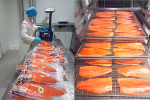 С финансовой поддержкой «Форель на Свири» растёт быстрее