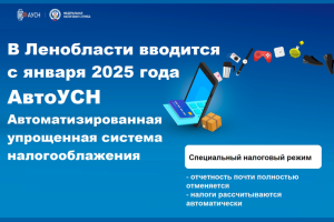 В Ленобласти с 1 января 2025 года вводится АвтоУСН